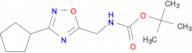 Cyclopentyl Oxadiazol Ylmethyl Carbamic Acid Tert Butyl