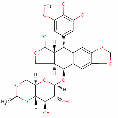 3',4'-dihydroxyetoposide