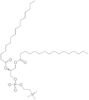 2,3-dipalmitoyl-sn-glycero-1-phospho-choline