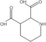 2,3-Piperidinedicarboxylic acid