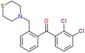 (2,3-dichlorophenyl)-[2-(thiomorpholinomethyl)phenyl]methanone