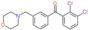 (2,3-dichlorophenyl)-[3-(morpholinomethyl)phenyl]methanone