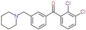 (2,3-dichlorophenyl)-[3-(1-piperidylmethyl)phenyl]methanone