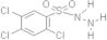 2,4,5-Trichlorobenzenesulfonyl hydrazide