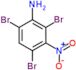 2,4,6-tribromo-3-nitro-aniline