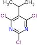 2,4,6-Trichloro-5-(1-methylethyl)pyrimidine