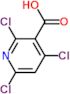 2,4,6-trichloropyridine-3-carboxylic acid