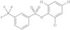 2,4,6-Trichlorophenyl 3-(trifluoromethyl)benzenesulfonate