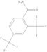 2,4-bis(trifluoromethyl)benzamide