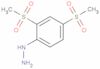 [2,4-Bis(methylsulfonyl)phenyl]hydrazine