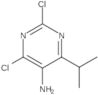 2,4-Dichloro-6-(1-methylethyl)-5-pyrimidinamine