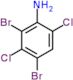 2,4-dibromo-3,6-dichloroaniline