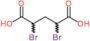 2,4-dibromopentanedioic acid