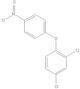 2,4-dichloro-1-(4-nitrophenoxy)benzene