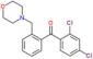 (2,4-dichlorophenyl)-[2-(morpholinomethyl)phenyl]methanone