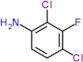 2,4-dichloro-3-fluoro-aniline