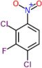 1,3-Dichloro-2-fluoro-4-nitrobenzene