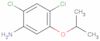 2,4-Dichloro-5-(1-methylethoxy)benzenamine