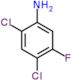 2,4-dichloro-5-fluoroaniline