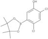 2,4-Dichloro-5-(4,4,5,5-tetramethyl-1,3,2-dioxaborolan-2-yl)phenol