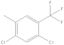 2,4-dichloro-5-methylbenzotrifluoride