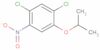 1,5-dichloro-2-(1-methylethoxy)-4-nitrobenzene