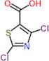 2,4-Dichloro-5-thiazolecarboxylic acid