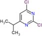2,4-dichloro-6-(propan-2-yl)pyrimidine