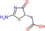 (2-imino-4-oxo-1,3-thiazolidin-5-yl)acetic acid