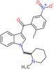(2-iodo-5-nitrophenyl){1-[(1-methylpiperidin-2-yl)methyl]-1H-indol-3-yl}methanone