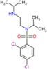2,4-dichloro-N-(1-methylethyl)-N-{2-[(1-methylethyl)amino]ethyl}benzenesulfonamide