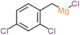 chloro-[(2,4-dichlorophenyl)methyl]magnesium