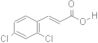 2,4-Dichlorocinnamic acid