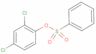 2,4-dichlorophenyl benzenesulphonate