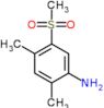 2,4-dimethyl-5-(methylsulfonyl)aniline