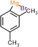 bromo-(2,4-dimethylphenyl)magnesium