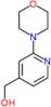 (2-morpholin-4-ylpyridin-4-yl)methanol