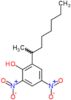 2-(1-methylheptyl)-4,6-dinitrophenol