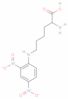 L-Lisina, N6-(2,4-dinitrofenil)-, clorhidrato (1:1)