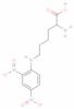 N-epsilon-2-4-dnp-L-lysine*hydrochloride