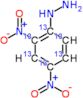 [2,4-dinitro(~13~C_6_)phenyl]hydrazine