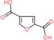 furan-2,4-dicarboxylic acid