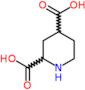 piperidine-2,4-dicarboxylic acid