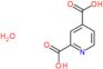 pyridine-2,4-dicarboxylic acid hydrate