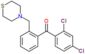 (2,4-dichlorophenyl)-[2-(thiomorpholinomethyl)phenyl]methanone