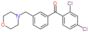 (2,4-dichlorophenyl)-[3-(morpholinomethyl)phenyl]methanone