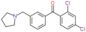 (2,4-dichlorophenyl)-[3-(pyrrolidin-1-ylmethyl)phenyl]methanone