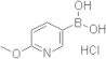 2-Methoxy-5-pyridineboronic acid hydrochloride