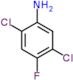 2,5-dichloro-4-fluoroaniline