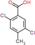 2,5-dichloro-4-methylbenzoic acid